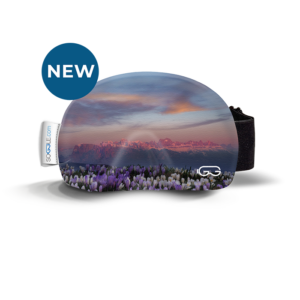 SOGGLE pictures flowerbed